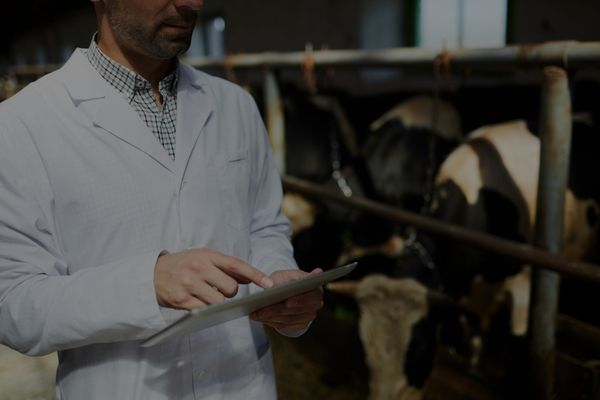 filosofia empresarial el cebú 003a-min