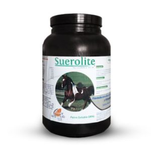 suerolite hourse riverlab