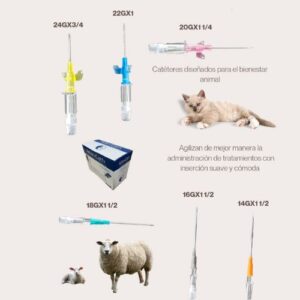 Catéter Veterinario